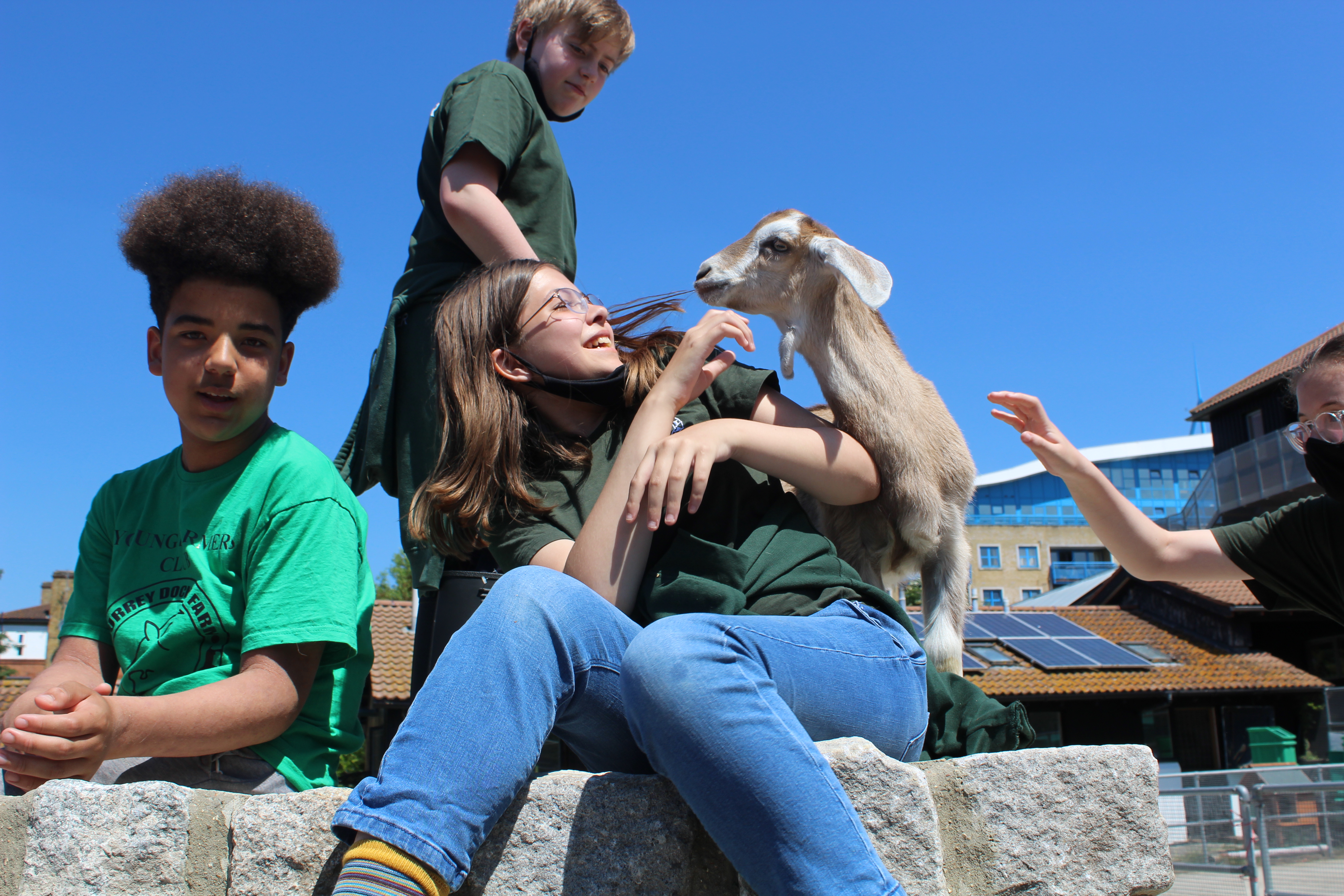 A goat interacts with some of our Young Farmers in the goat yard
