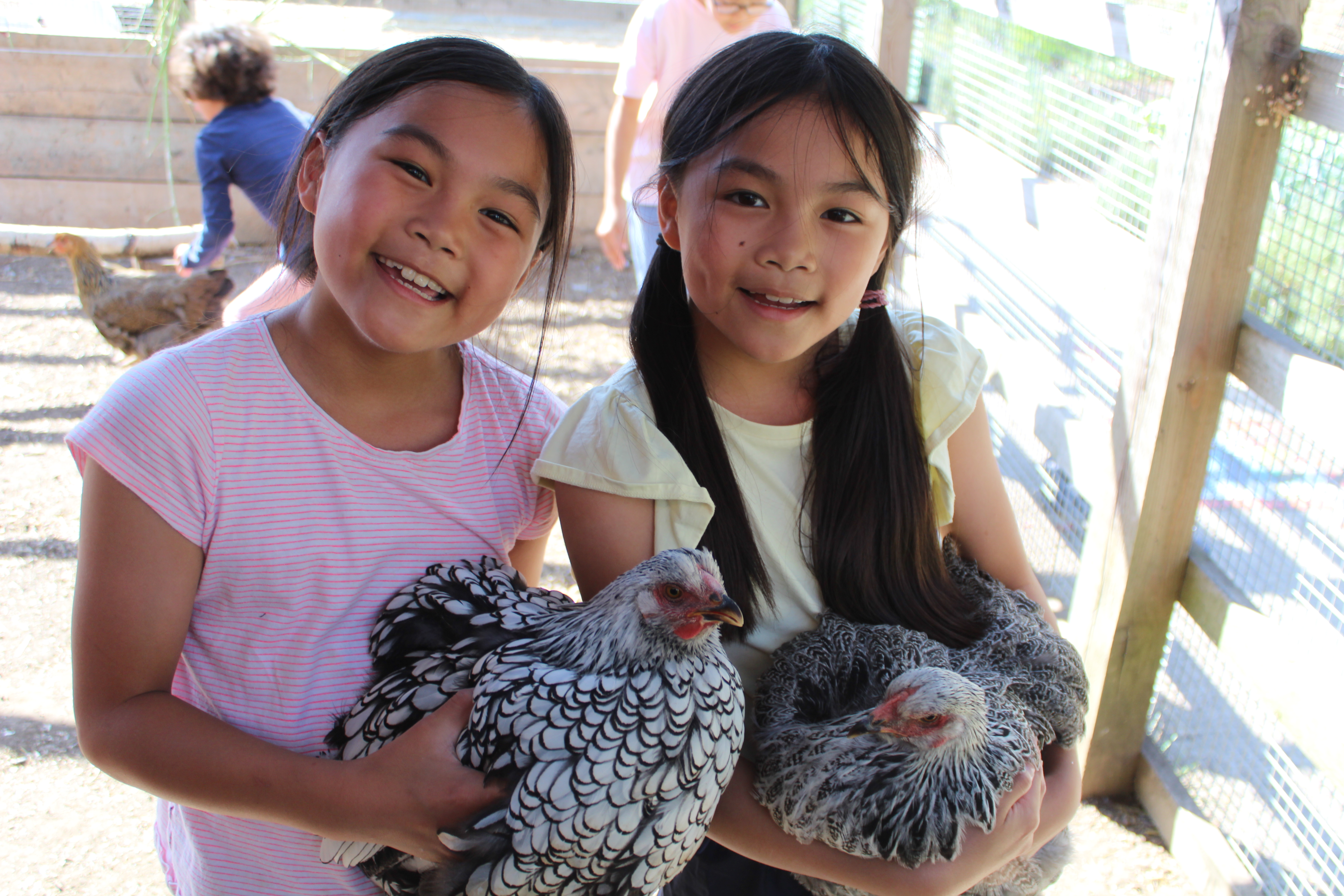 Two girls smile at the camera, each holding a chicken 